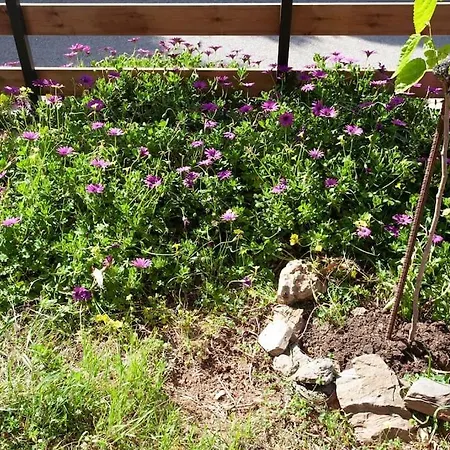 Chania Paradise Retreat Rodhopos